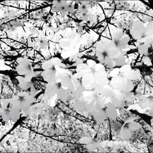 New closet & boutique updates coming stay tuned!